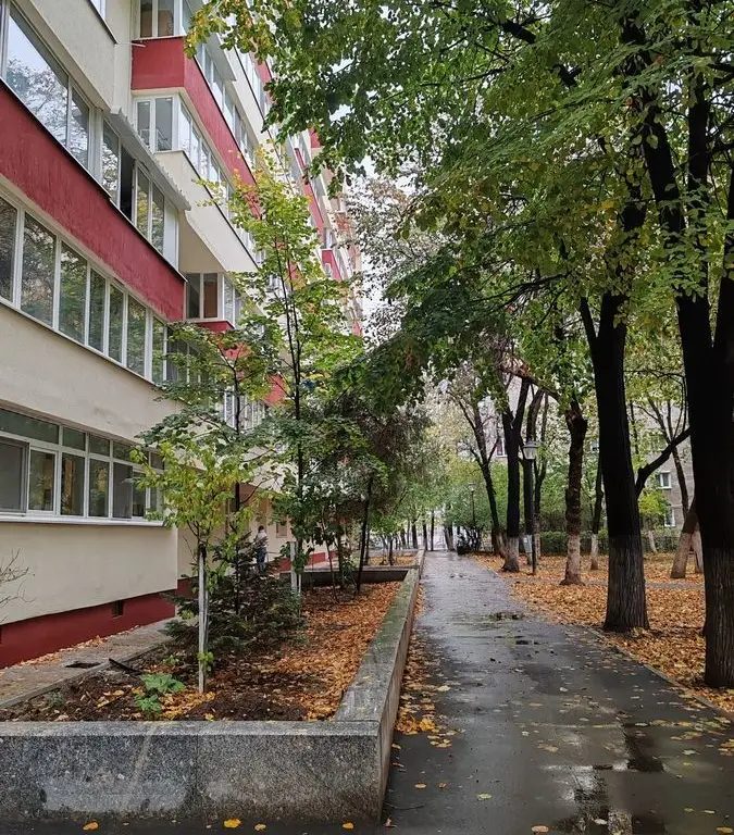 Brancoveanu - Oraselul Copiilor