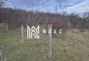 Teren de vanzare | Orlat | Extravilan