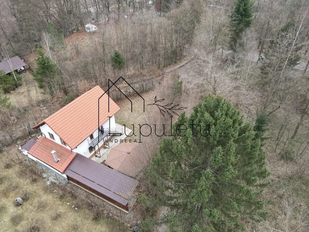 Casa de Vacanta | 120 MPU | Valea Avrigului