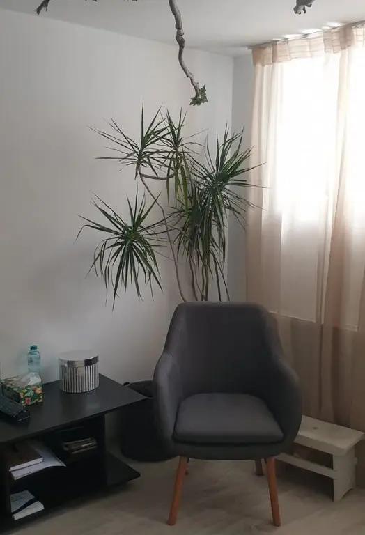 Spatiu Astra