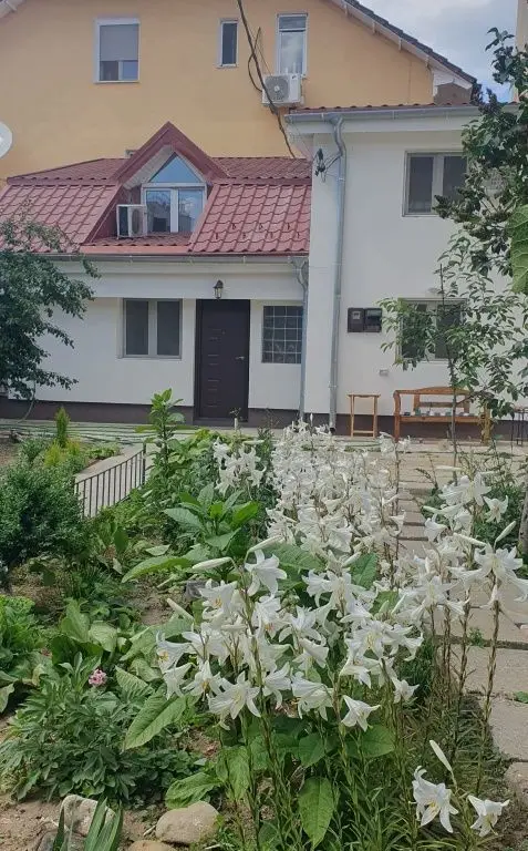 Casa Aviatiei-Herastrau