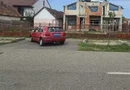 BRASADAS vinde casa la rosu + casa veche teren 14 ari Blaga.