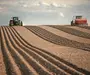 1.835 ha Fermă operațională și teren agricol (Vestul României)