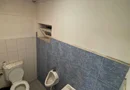 Proprietate industrială de vânzare sau închiriere – Comuna Frătești