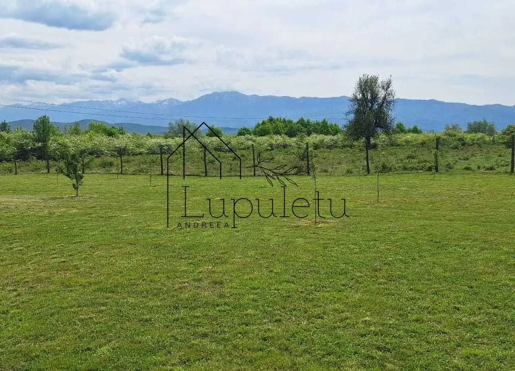 Teren Extravilan | 2.000 MPU | Intabulat | Zonă liniștită