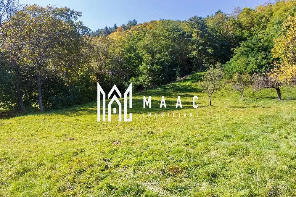 Teren | Intravilan | 2439 MPU | Fântânele