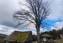 19.5 Hectare în Zona Turistică Montană – Bulz, Bihor