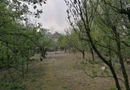 Ag EUROPA vinde casa 6 cam teren 11 ari în zona 14 Mai.