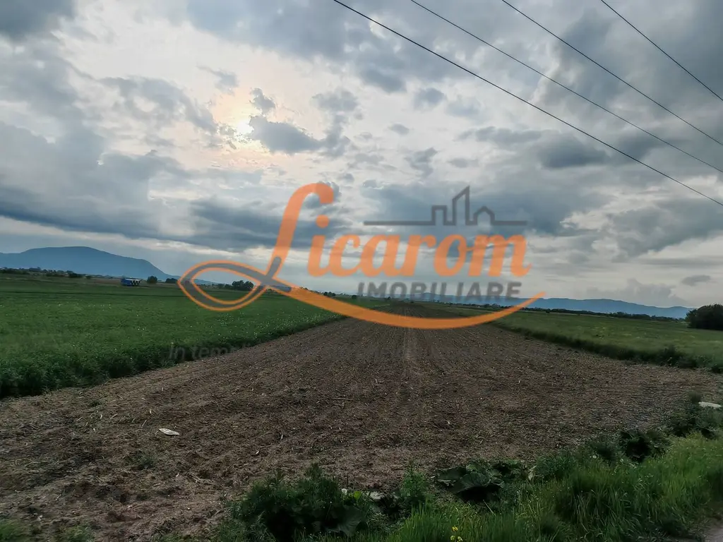 Teren Stupini Calea Feldioarei 4600 mp,21 euro/mp, front asfalt-DN13