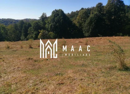 Teren Extravilan 20.000Mp I Stoenești -Vâlcea I Apă Curentă și Pădure