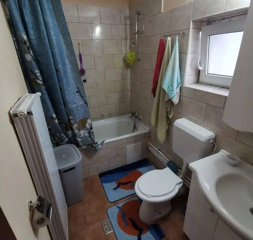 vand casa Satu Mare str spicului 3 cam placa de beton
