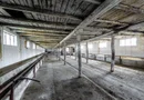 Fermă Mândruloc 2,5 ha