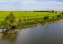 TEREN 22 HA  ideal parc industrial