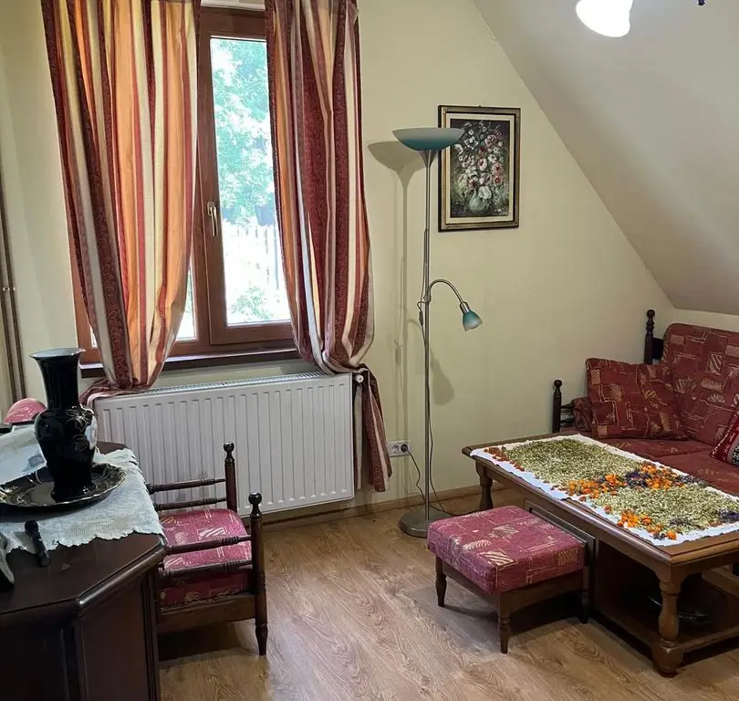 Casă elegantă, spațioasă, ideală pentru familie – Sanmihaiu Roman