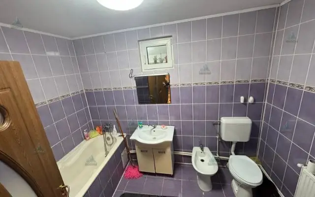 Casă cu mansardă și piscină de vânzare – Pictor Andreescu