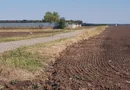 Teren intravilan de vânzare Brănești – DN3, deschidere 60 ml investie