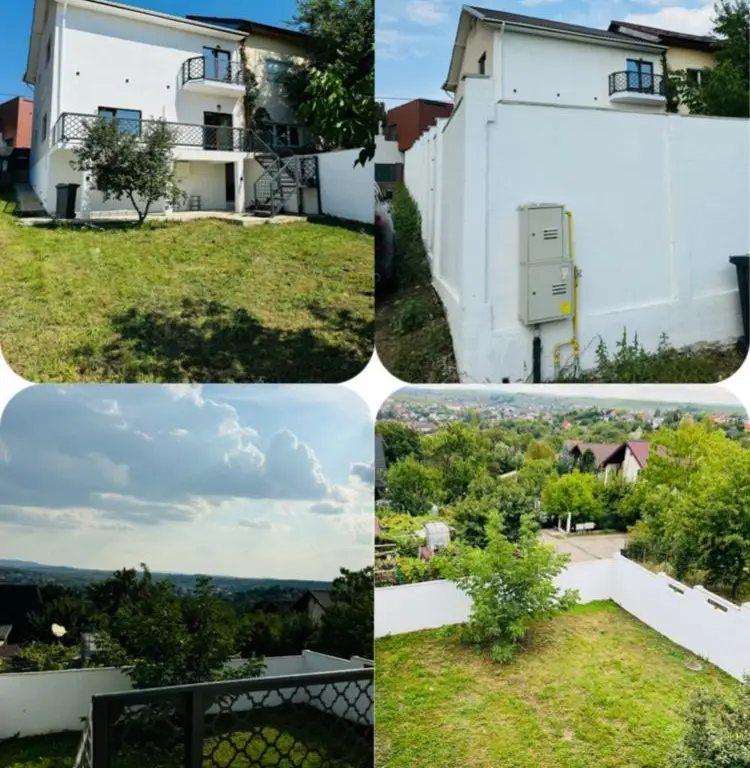 Vila Plopii fara sot, Bucium - Proprietar