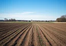 362 HA Teren Agricol – Proprietate Privată în Vestul României