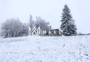 Teren de vanzare I izvor apă minerală  Dangești I 2 Hectare