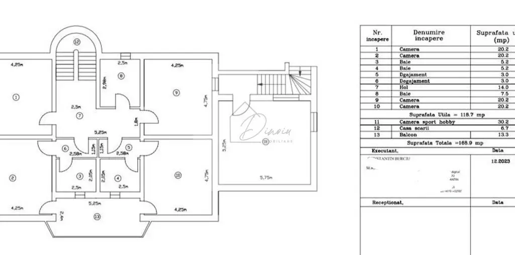 Vila 8 camere Baneasa - Iancu Nicolae