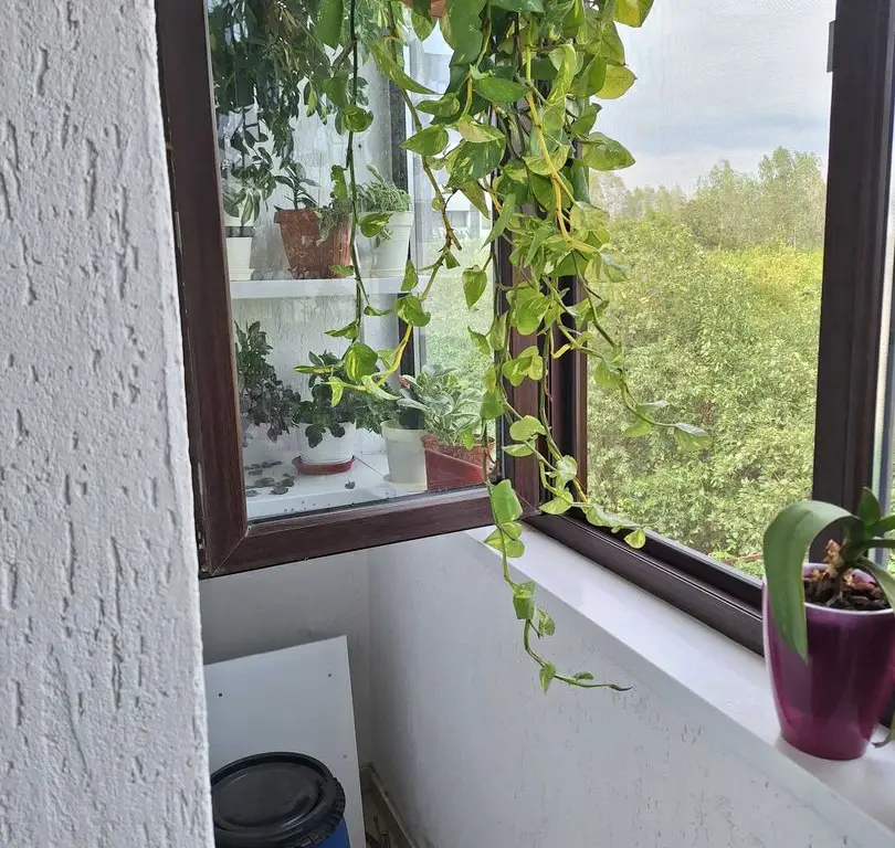Casa de vanzare Aparatorii Patriei
