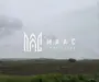 Parcelă 511 mp cu PUZ aprobat I Nazna I Intravilan