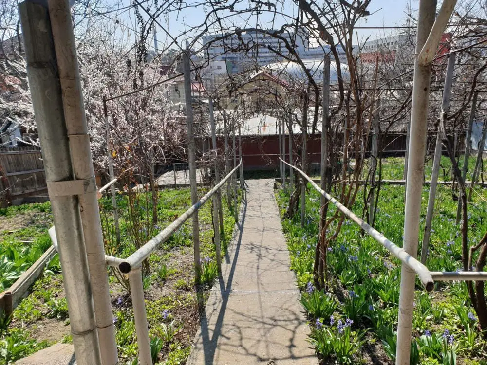 Vand casa bătrânesca