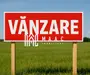 Teren intravilan | 20.000 MP | Parcelabil | Daia