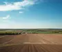 362 HA Teren Agricol – Proprietate Privată în Vestul României