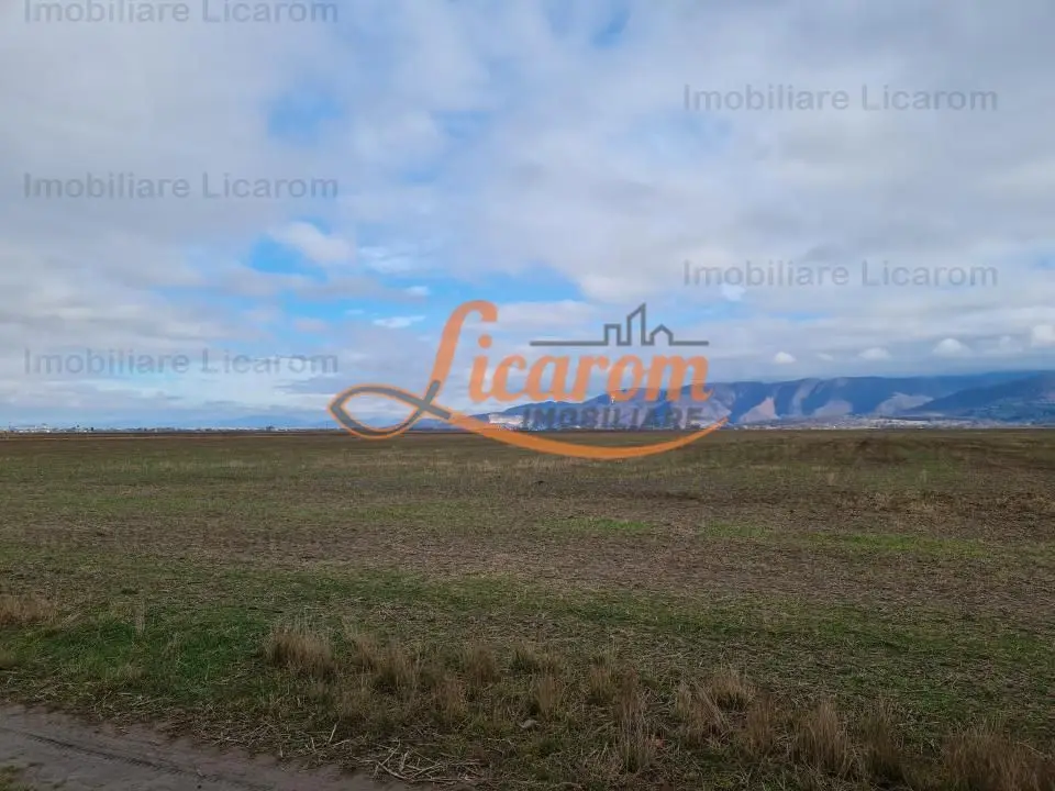 Teren extravilan 2,9 HA,intre Cristian si Vulcan