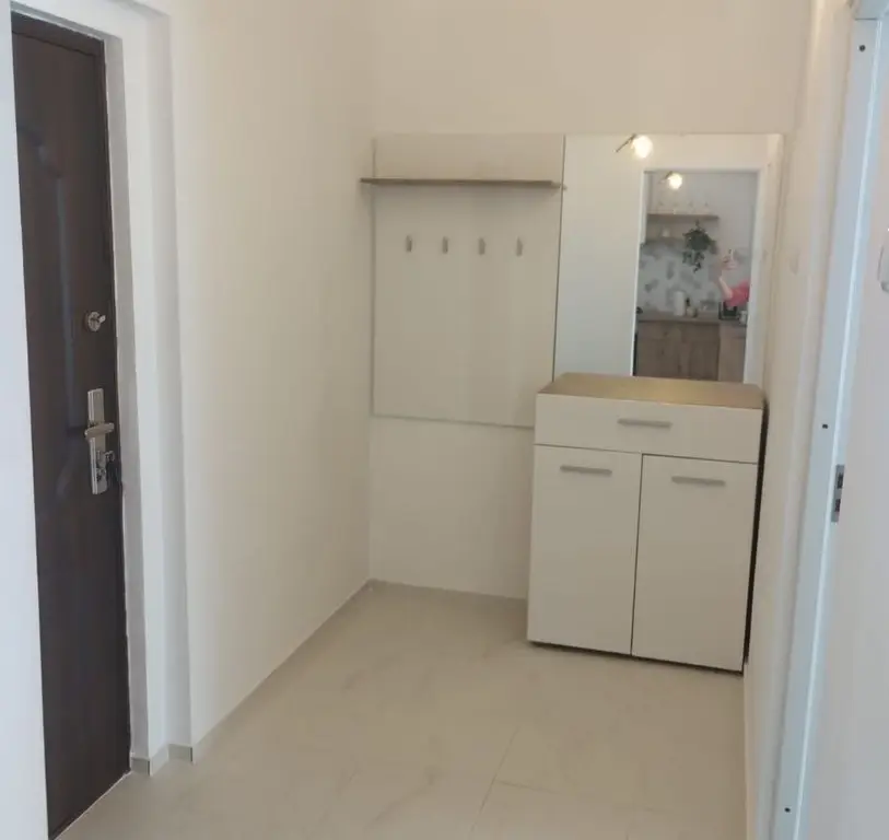 BRASADAS vinde ap 2 cam etaj 7/10 la Burdea