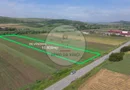 Teren 10.670 mp | Borșa Cluj | Front 38m | Utilități