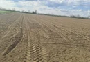 Vand teren extravilan in Martinesti