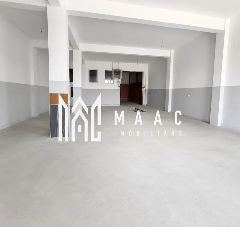 Hală Industrială | 300 MP | Terezian | Acces TIR