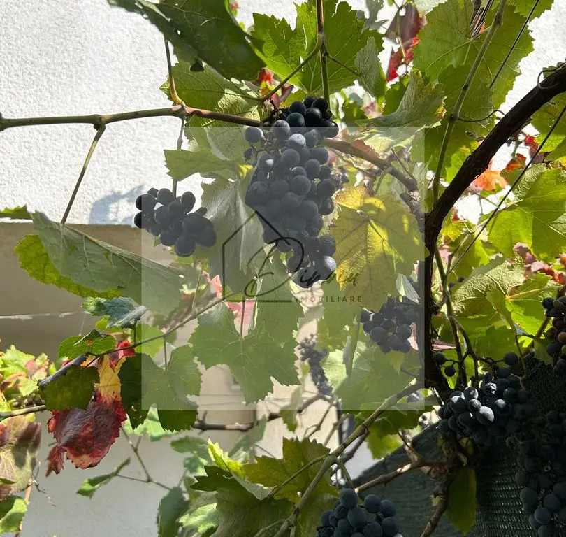 Vila de vanzare in Tunari I Gata de mutat I 4 camere 5 parcari  COM0%