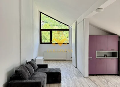 2 camere, Grigorescu, Donath, FESM, Iuliu Hațieganu, Pet Friendly