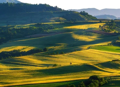 1.500 ha Teren agricol și pășune (Vestul României)