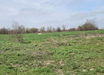 Afumati Balta Batal teren de vanzare 7000 mp