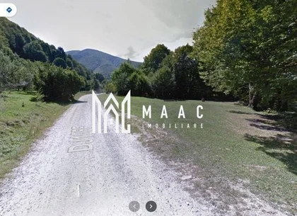 Teren Intravilan | 2000Mp |  Valea Avrigului