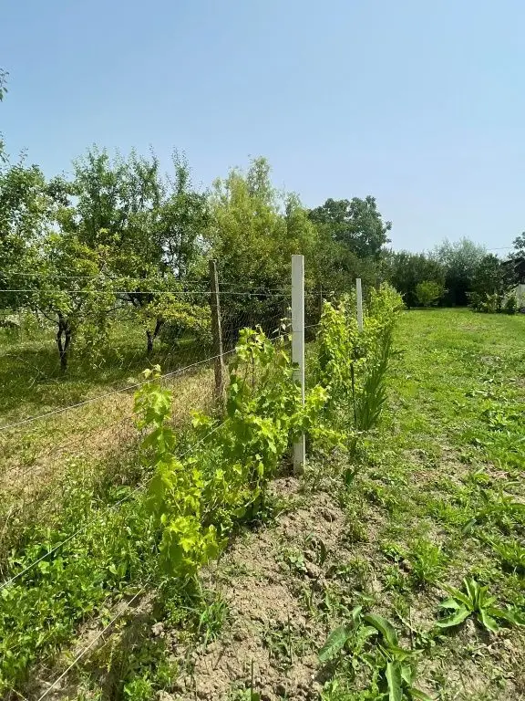 Vând teren intravilan, Str Dealului 64 - 936 mp,front stradal 13.4 m