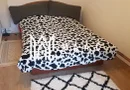 Casa 4 Camere | 600 MP Teren | Avrig