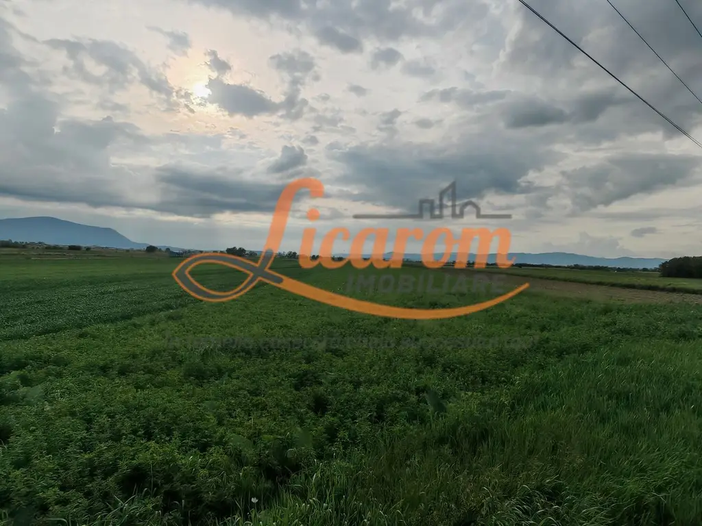 Teren Stupini Calea Feldioarei 4600 mp,21 euro/mp, front asfalt-DN13