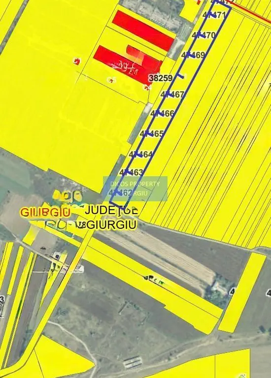 De Vânzare: Teren 25.000 mp – Drumul Vama Giurgiu – Oinacu