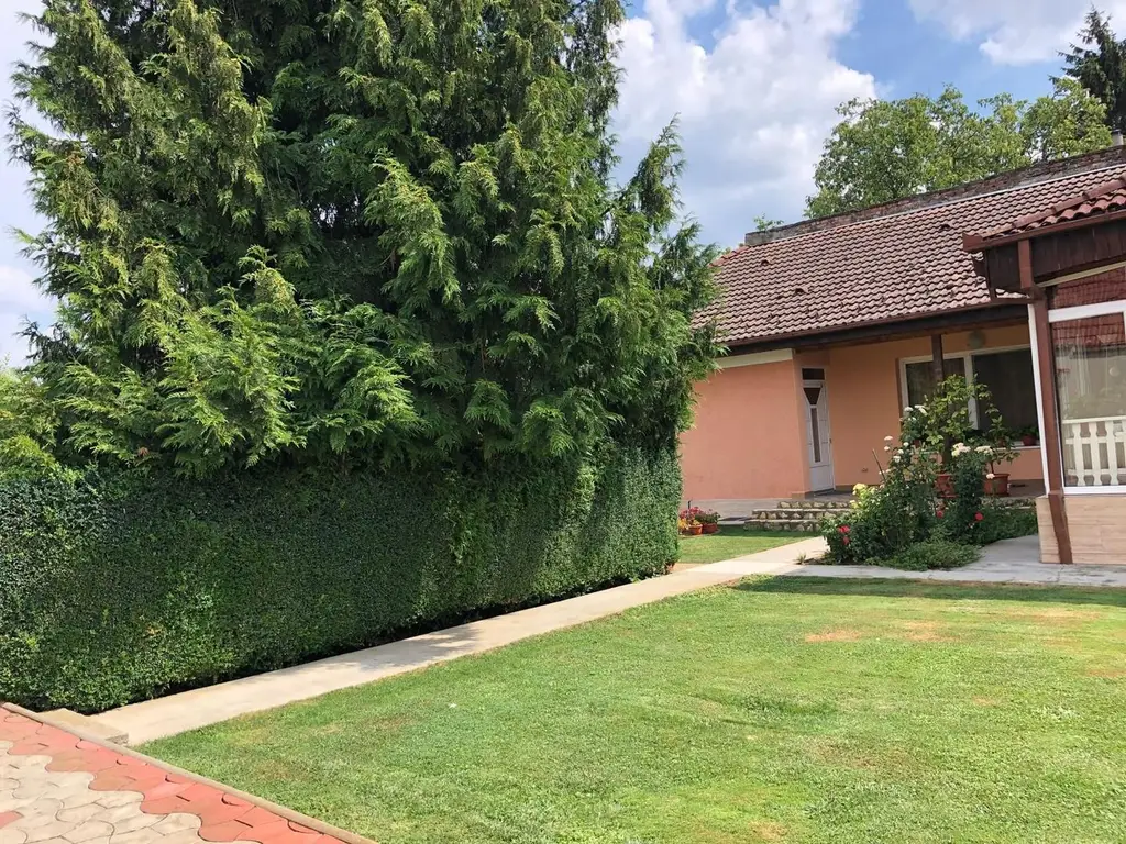 BRASADAS vinde casa cu 7 camere si teren 1100mp in zona Burdea.