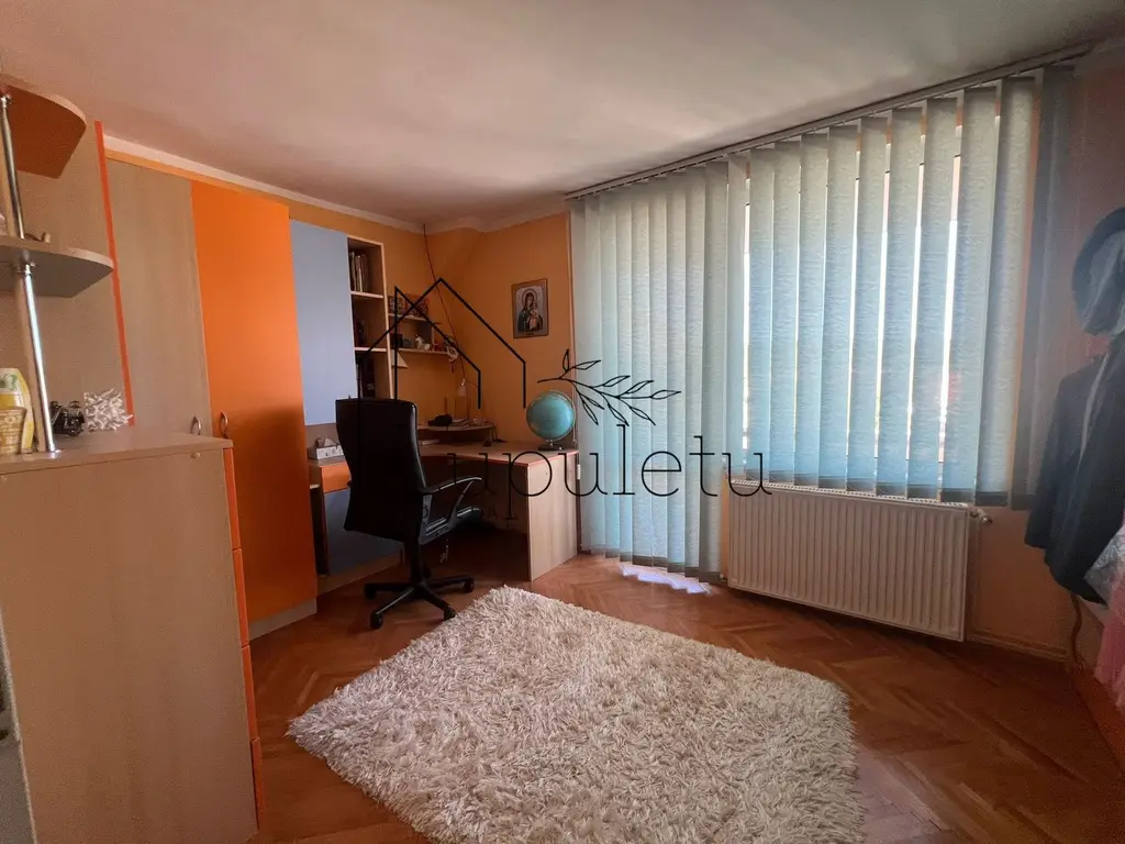 Casa de Vanzare Rasinari | 6 Camere | 200 MPU | Teren 979 MP |