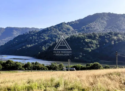 240 Hectare Pădure Valea Oltului Resurse Naturale Potențial Turistic