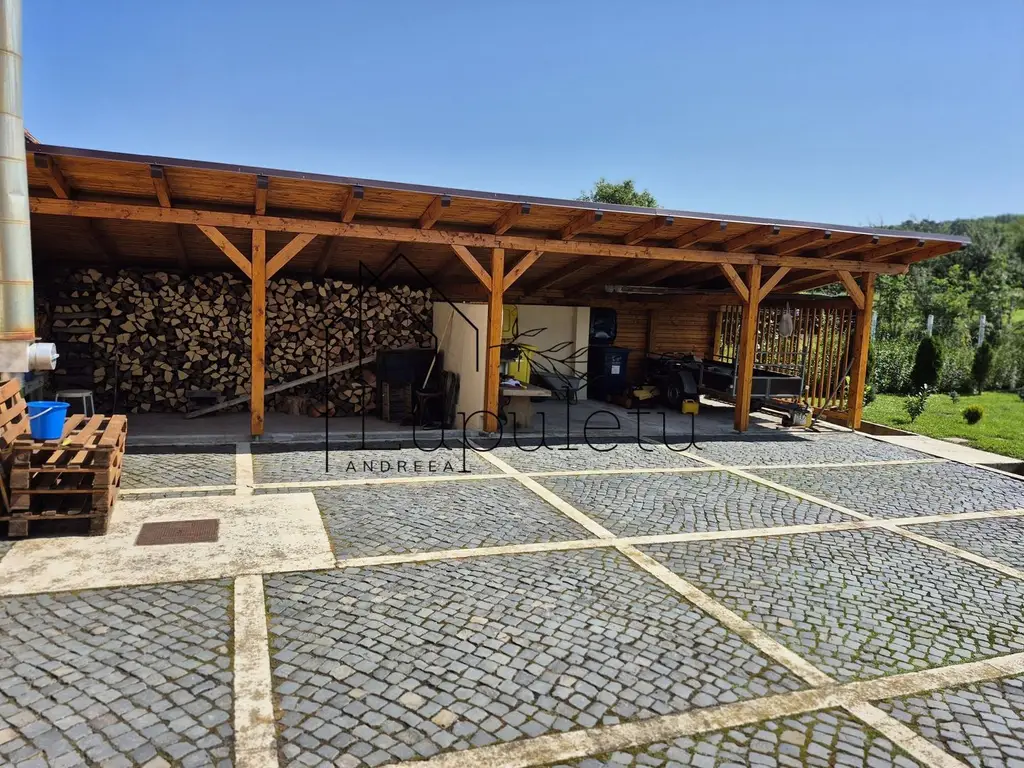 Casa de Vanzare Rasinari | 6 Camere | 200 MPU | Teren 979 MP |