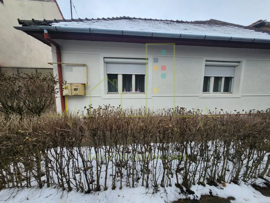 Casa individuala. Mijloace de transport. Toate utilitatile.