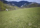Teren de vânzare
