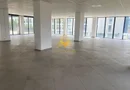 Spatiu comercial, Cartier Dambul Rotund, Lombului, Corneliu Coposu.